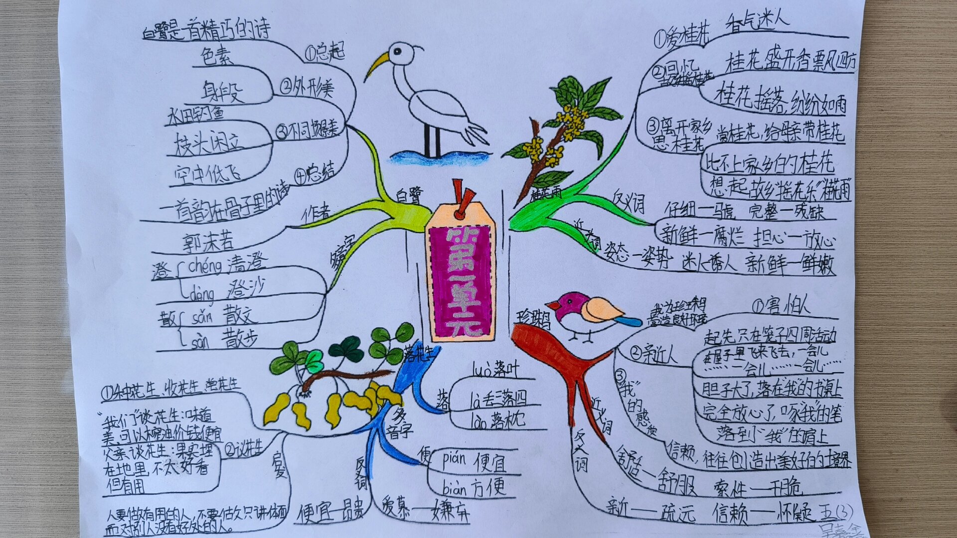 部编版语文五年级上册第一单元思维导图 部编版语文五年级上册第一