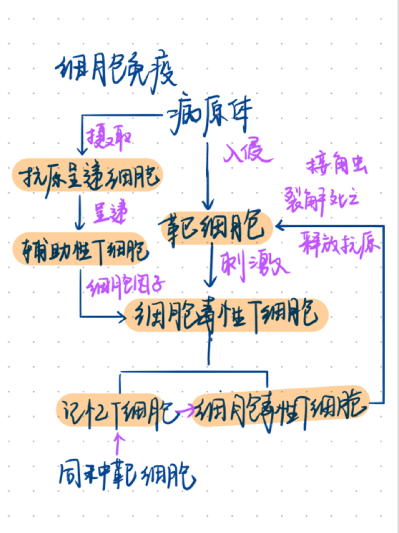关于高考生物调节专项！神经+体液+免疫，专项的信息