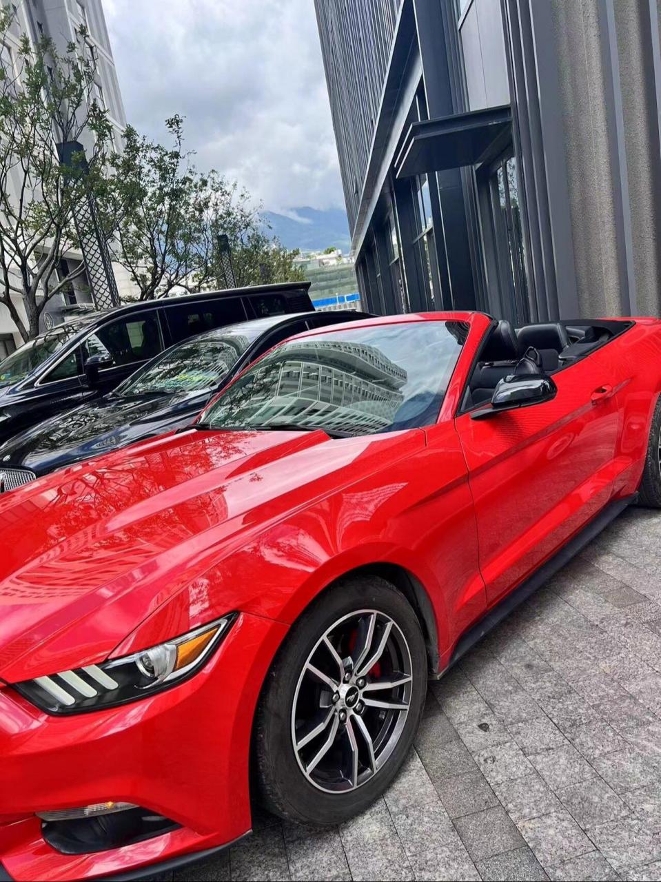 福特野马野马敞篷 售价:15.