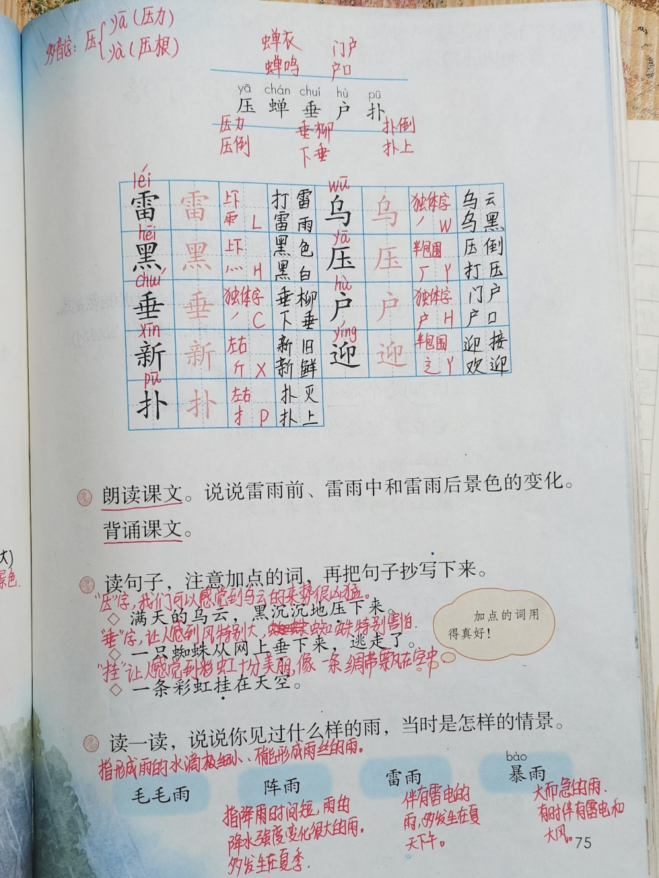 二年级语文下第16课《雷雨》课堂笔记 第十六课《雷雨》课堂笔记