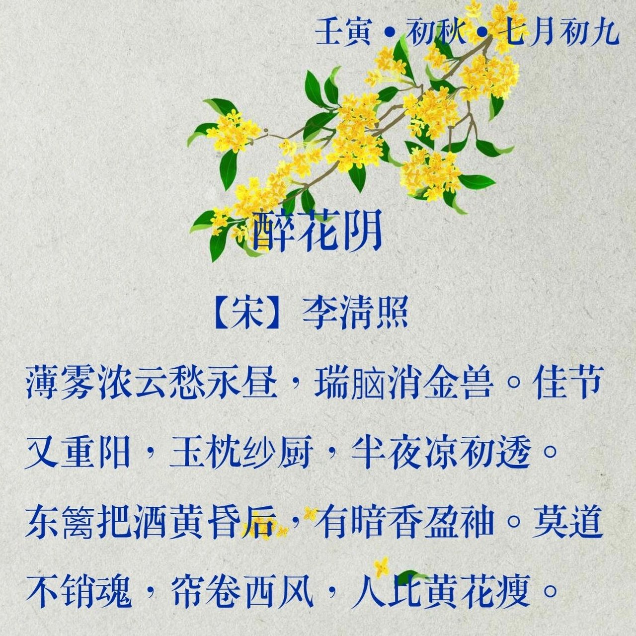 醉花阴苏净蒽图片