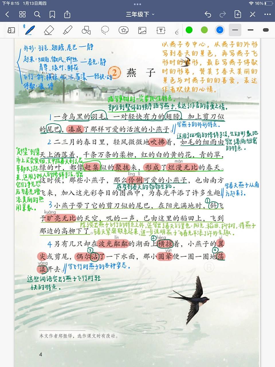 三年级语文下册 第二课《燕子》 三年级下册 第二课《燕子》课堂笔记