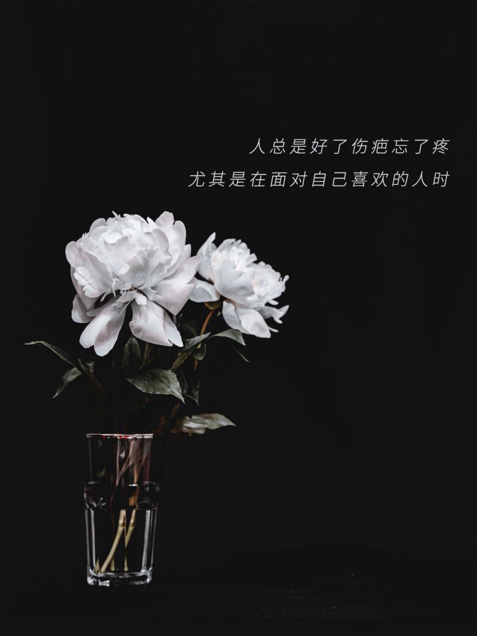 爱情里让人悲伤的文案,发条丧丧的朋友圈 - 爱赐予了力量,却带走了