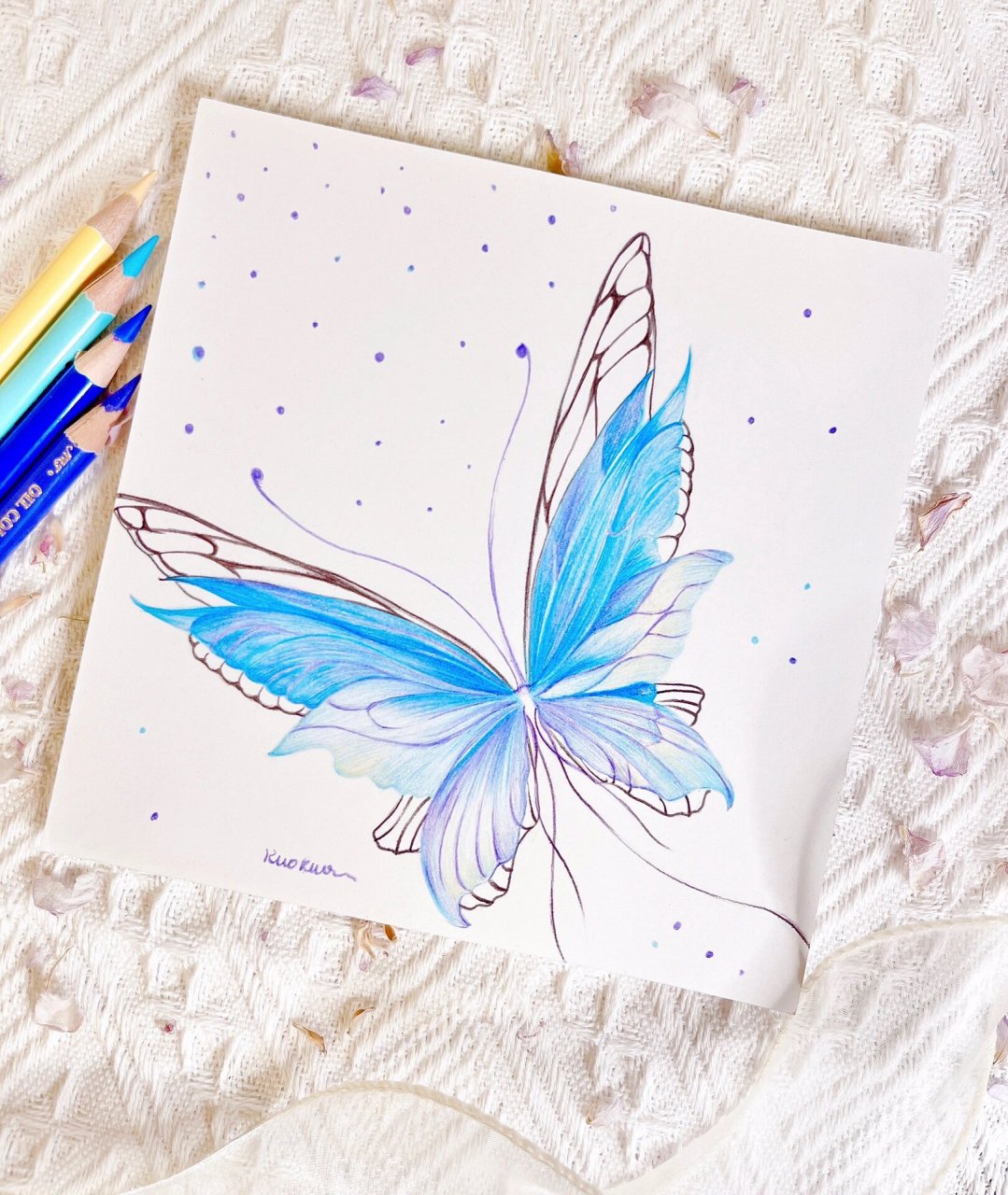 挑战|画只多层翅膀的花蝴蝶 彩铅梦幻蝴蝶绘画教程来喽