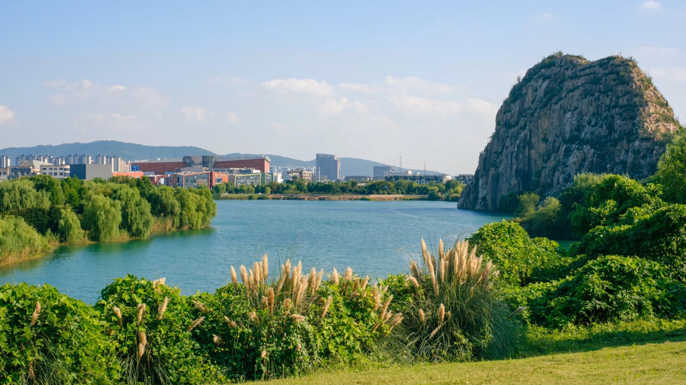 苏州宠物友好公园7415寿桃湖风景区 又多了一个可以和小狗一起逛