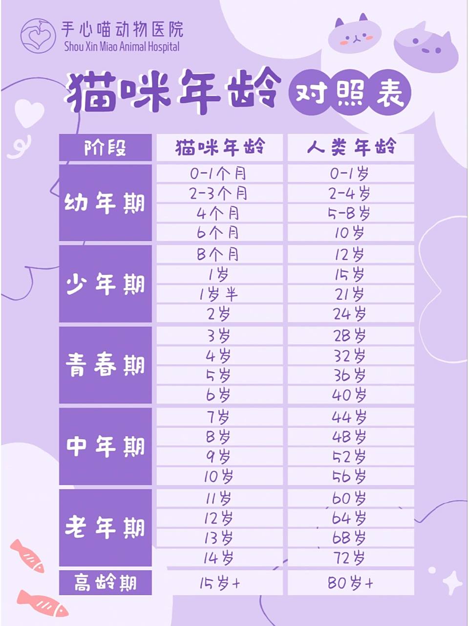 猫咪年龄对照表