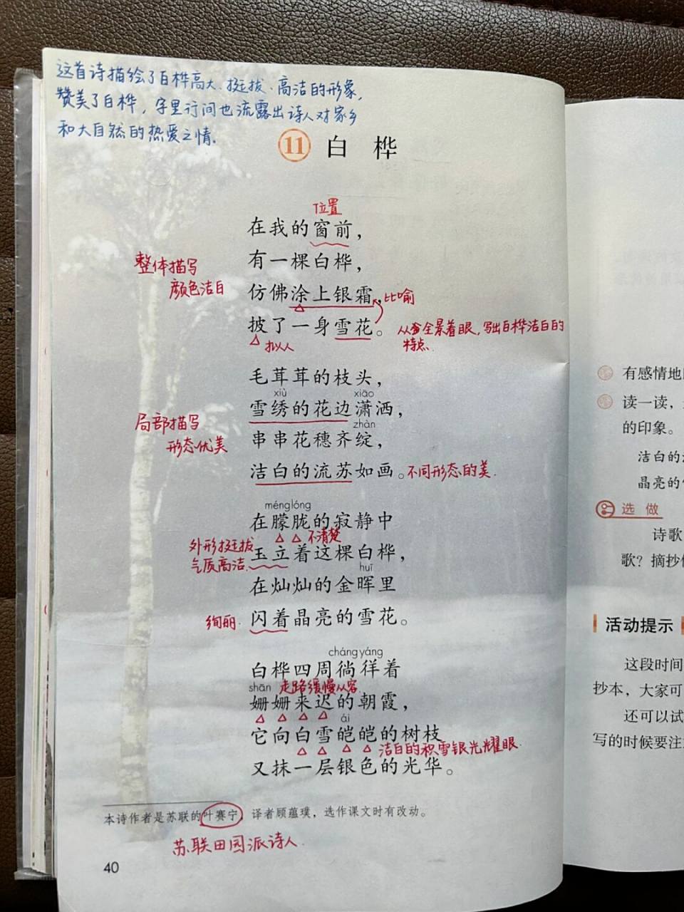 四下课堂笔记|第11课 白桦 #小学语文# #课堂笔记# #小学语文课堂笔记