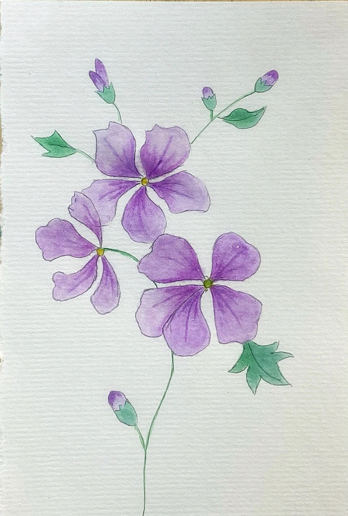画100张水彩画.第15张 紫色小花