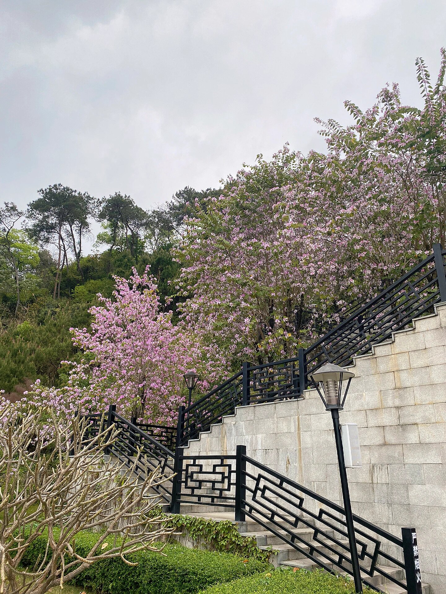 花都飞鹅岭山顶公园,1小时轻松游 作为一个免费公园,修得很不错了,砖