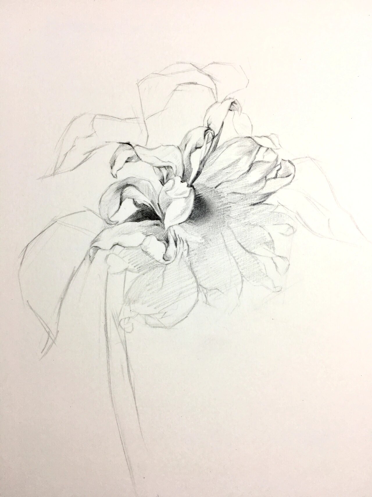 书上的原图是彩色的 我将它用素描的形式简单表现了一下 并拍下了一些