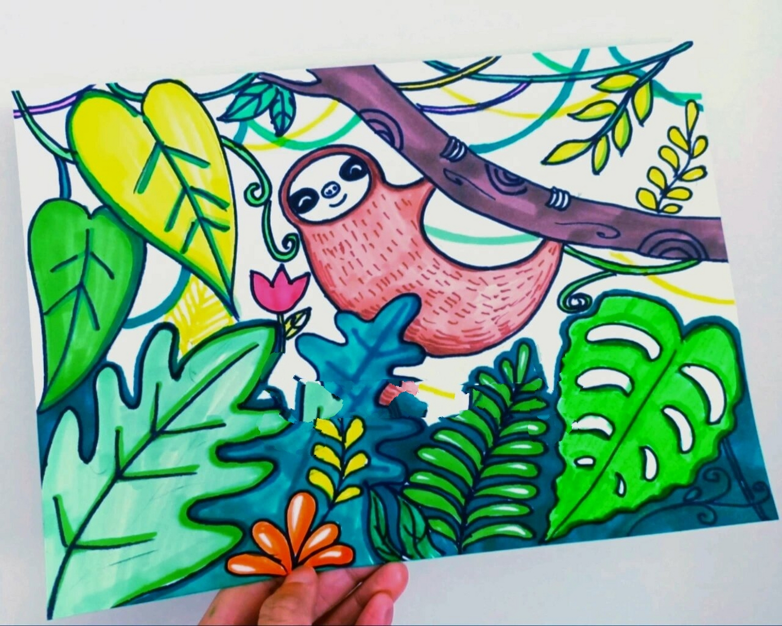 儿童创意简笔画拖延的树懒可爱树懒夏日丛林 丛林可爱的树懒63 61