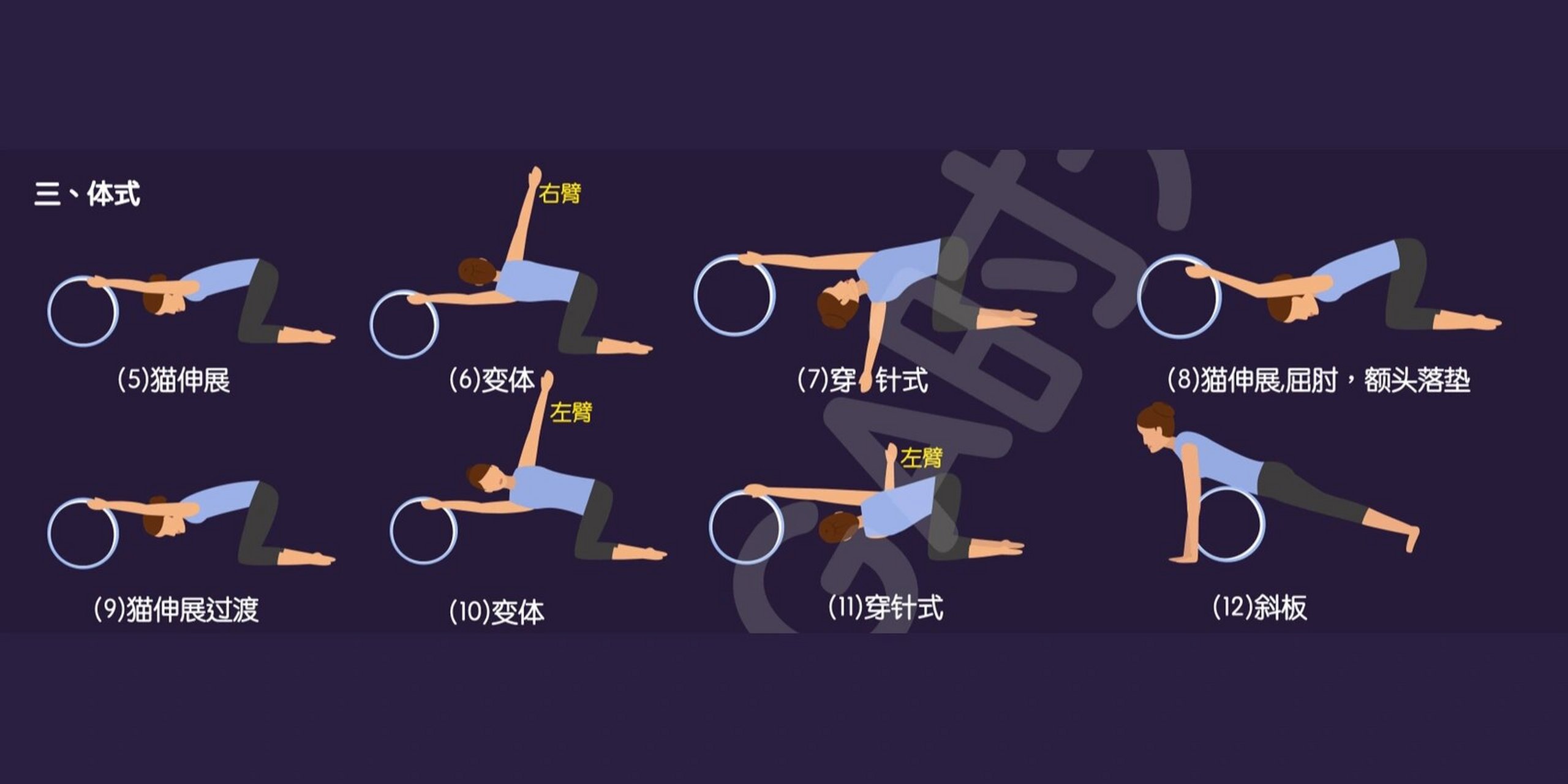 轮瑜伽排课—(29)-脊柱理疗 脊柱是人体的重要支柱 95可分为颈椎