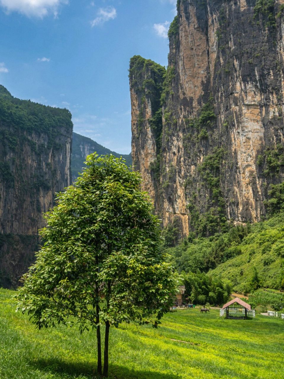 重庆旅行|三峡原乡.旱夔门.