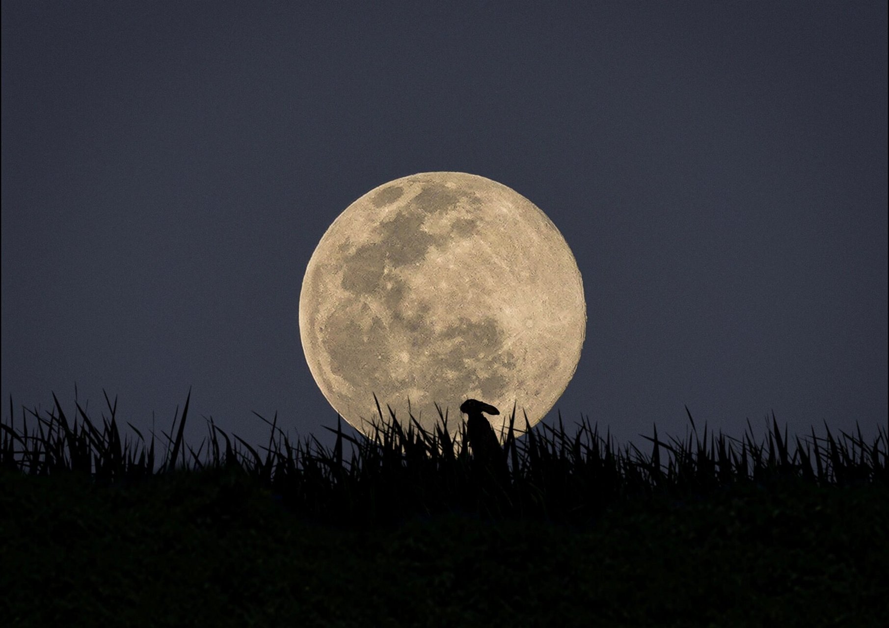 半画幅 狗头就不能拍月亮吗?|拍摄月亮参数 今晚月色真美!