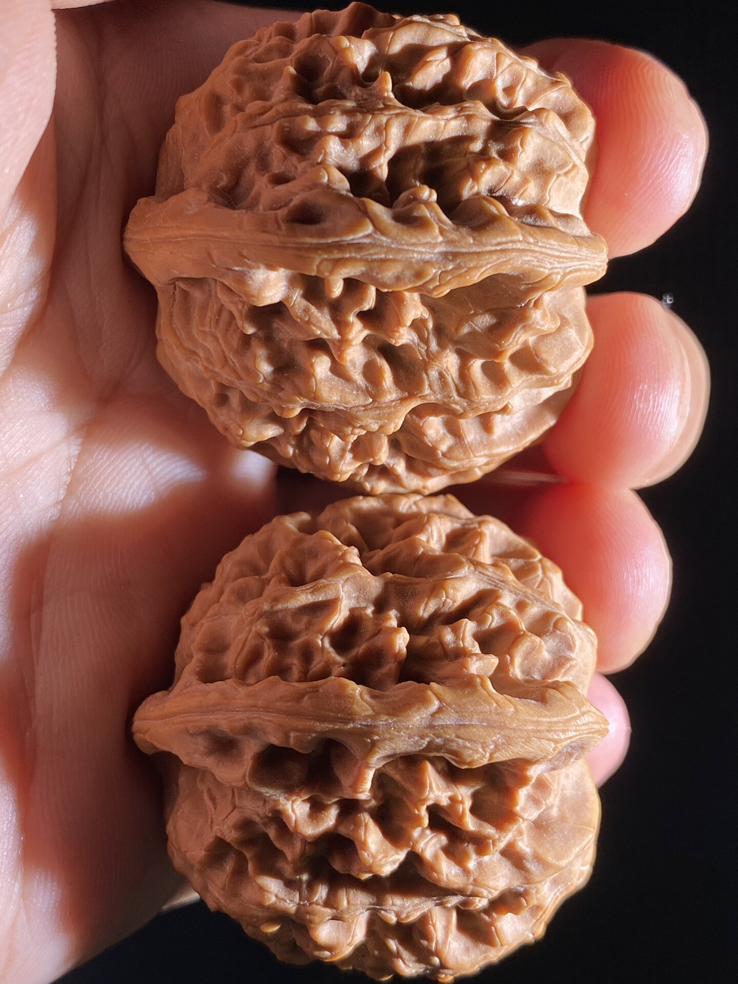 宝藏文玩核桃-蓟县马老四狮子头