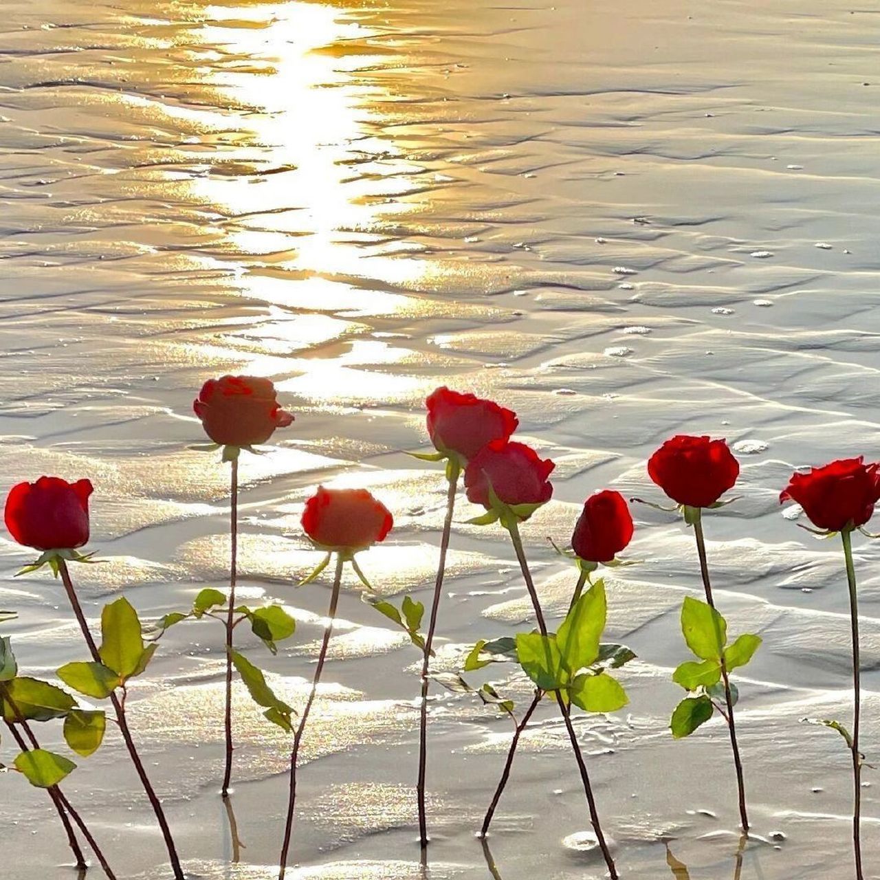 朋友圈微信聊天背景图来啦 7315收集了各种类型的背景图,不知道有