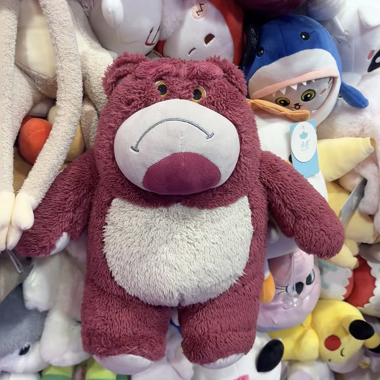 本熊很不开心 这是一个不开心的草莓熊