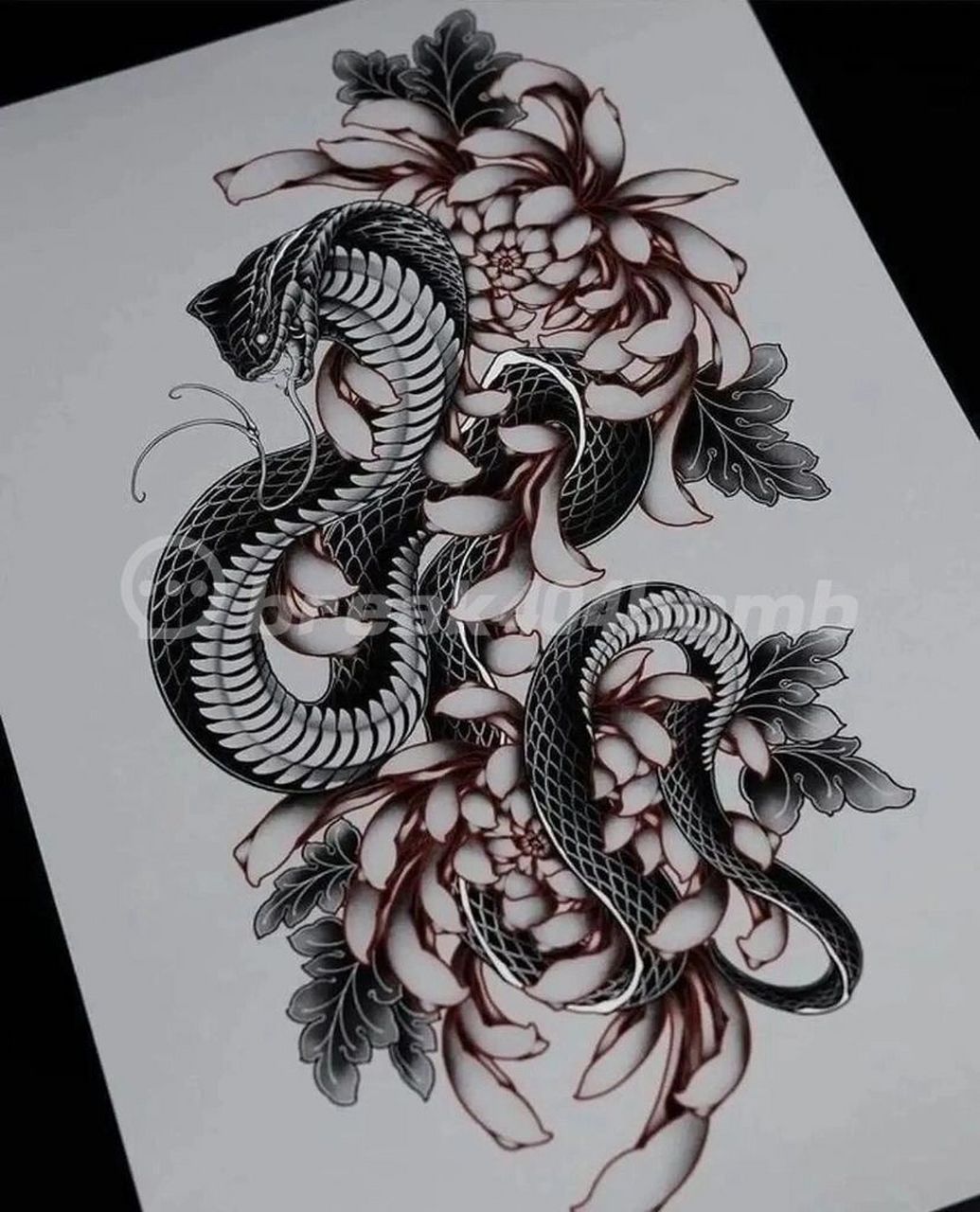 纹身蛇图稿图片