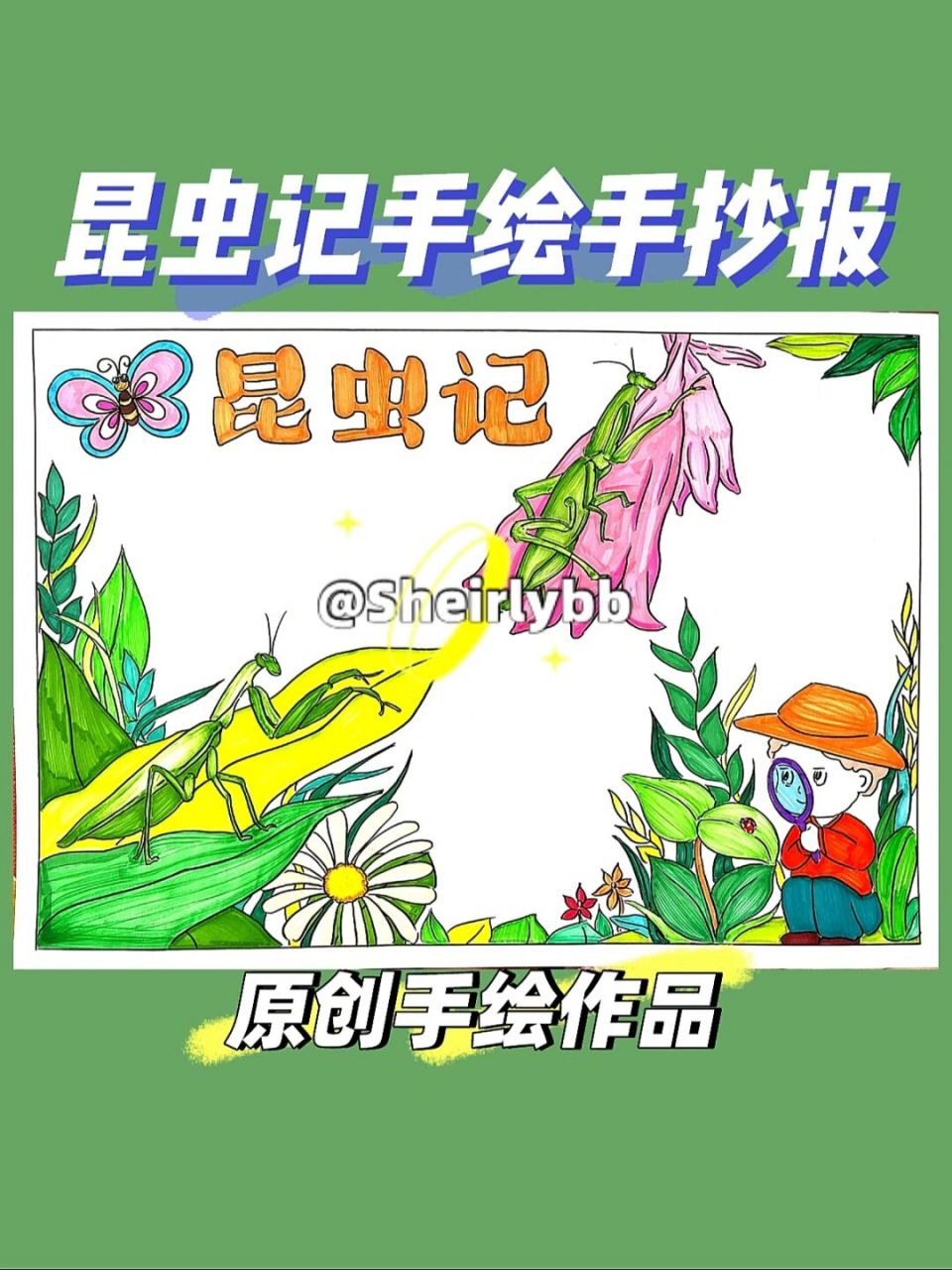 昆虫记手绘手抄报原创作品 法布尔的昆虫记手抄报来啦!