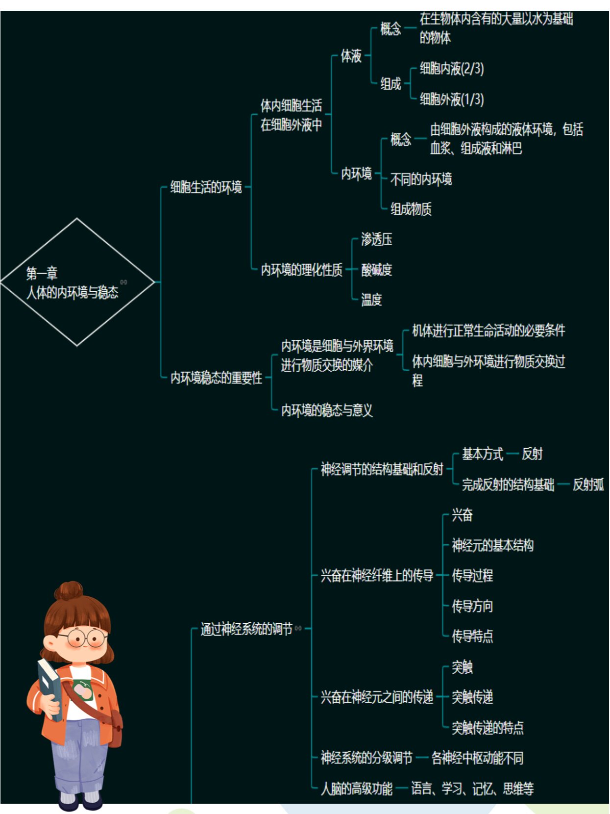 99超全高中生物必修三知识整理思维导图