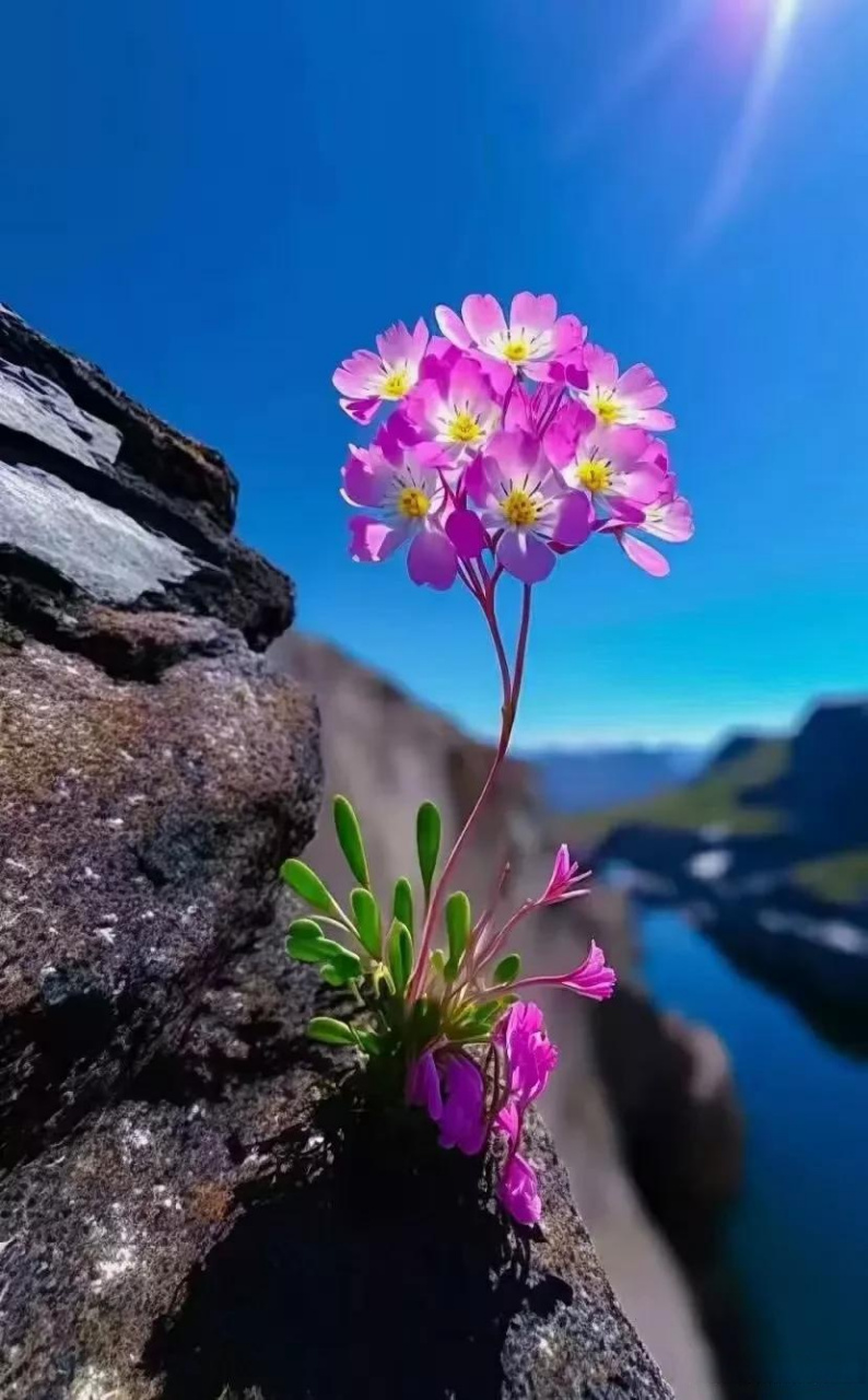 坚强的男人从来不指望别人心疼他,因为他身后空无一人,那些最难煎熬