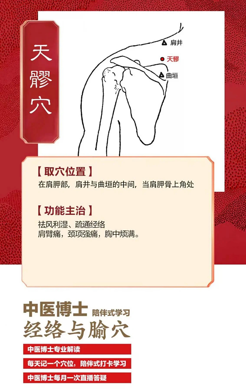 天髎穴,属手少阳三焦经,可以祛风利湿,通经活络 73【取穴位置】 在