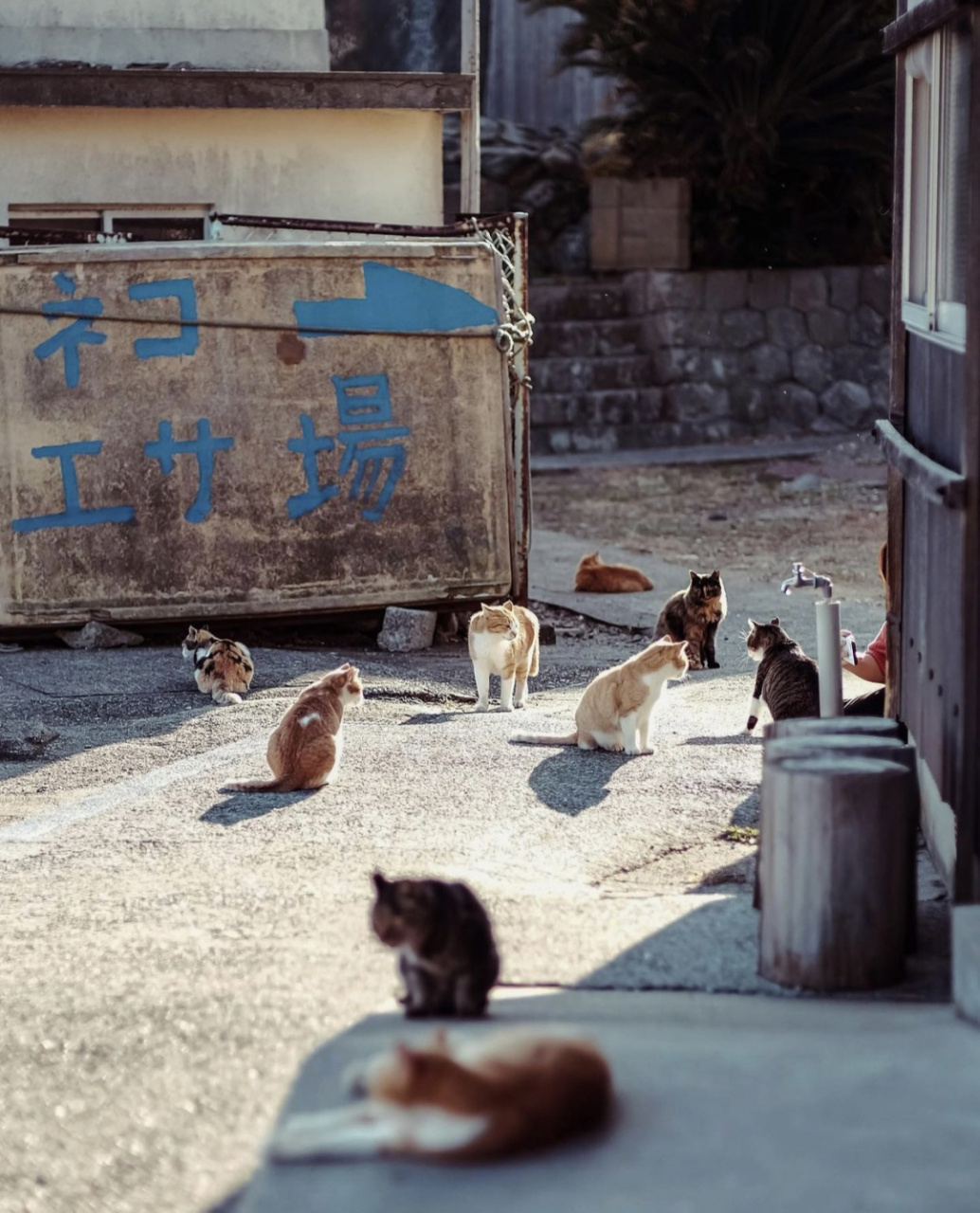 梅宫大社 地址:〒615-0921 京都府京都市右京区梅津フケノ川町30 我们