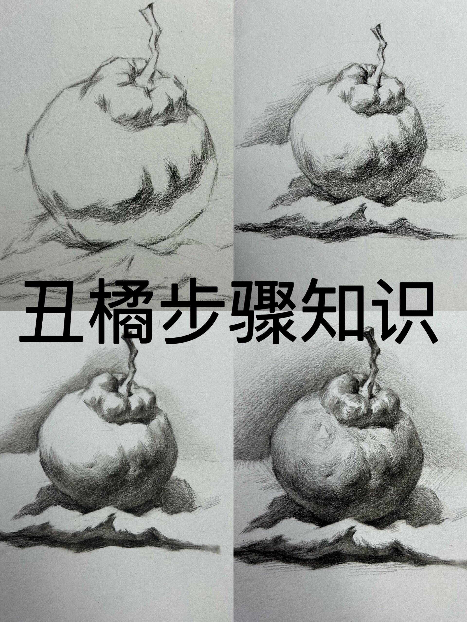 丑橘的作画步骤