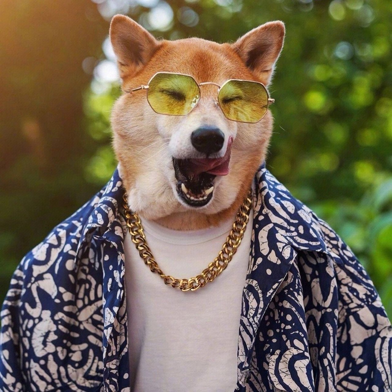 搞怪狗狗头像|男生头像