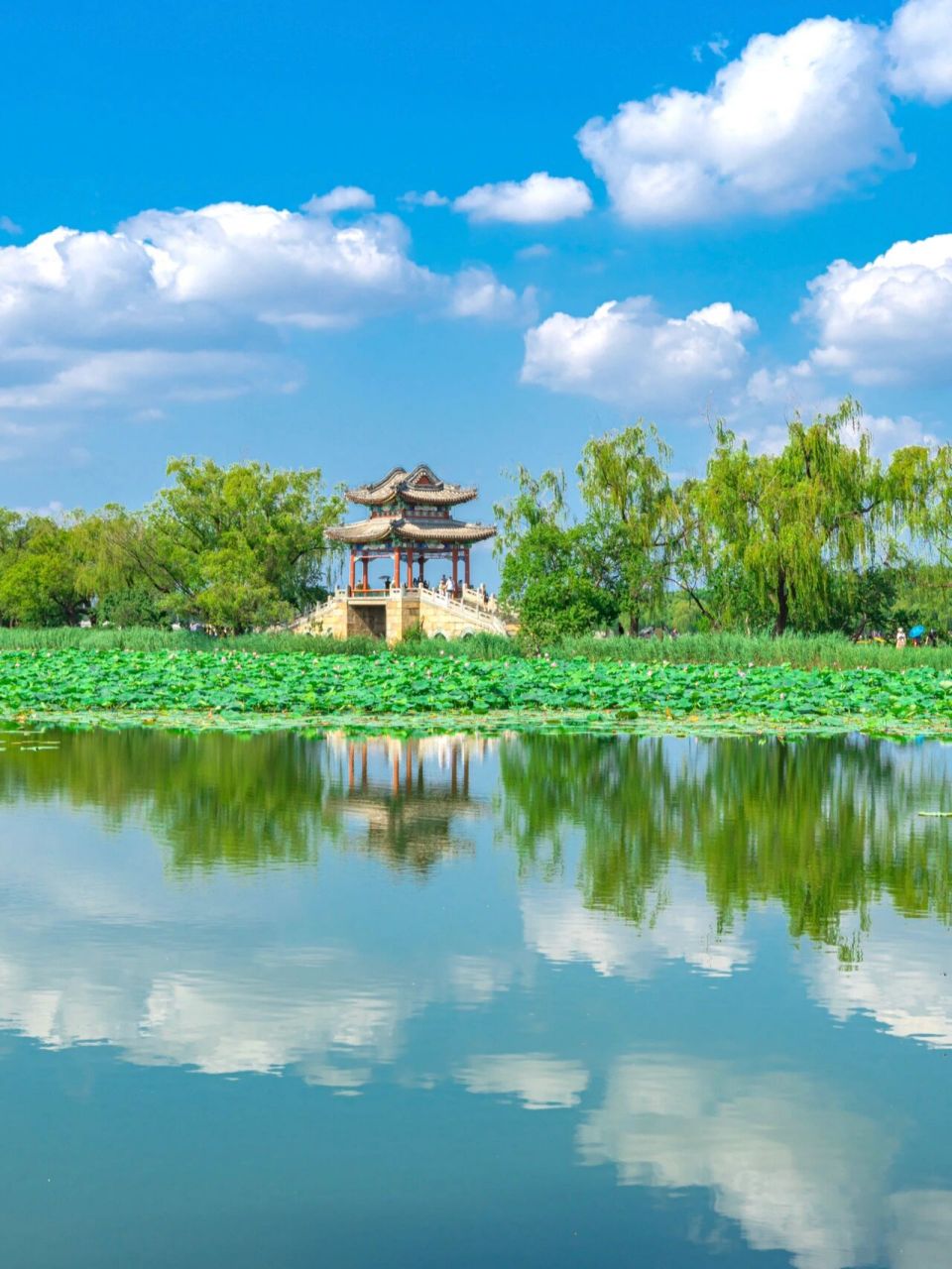 颐和园夏季图片