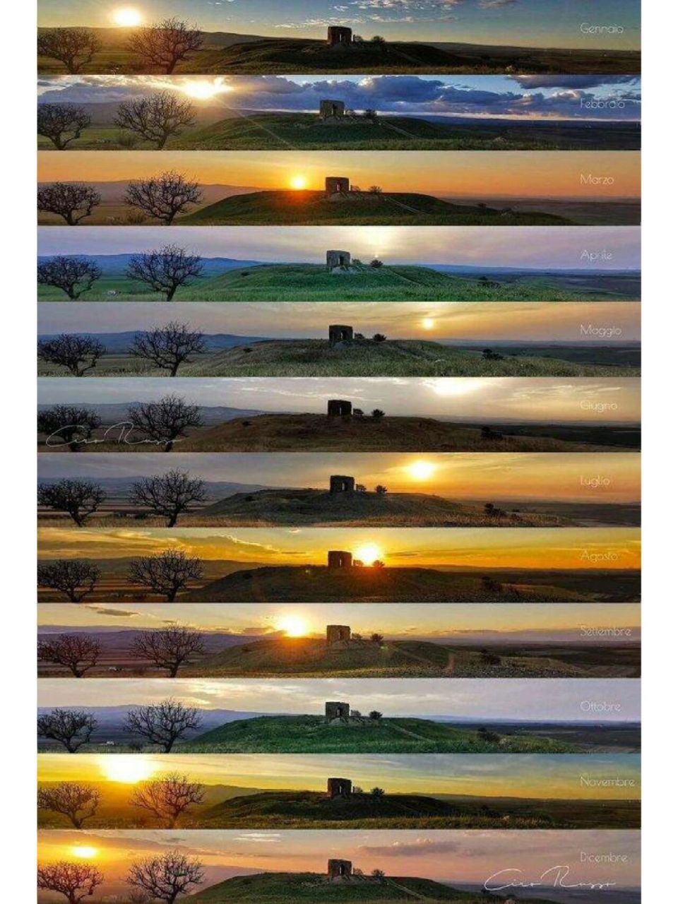 12 个月内的 12 张太阳图片,同一地点,同一时间.