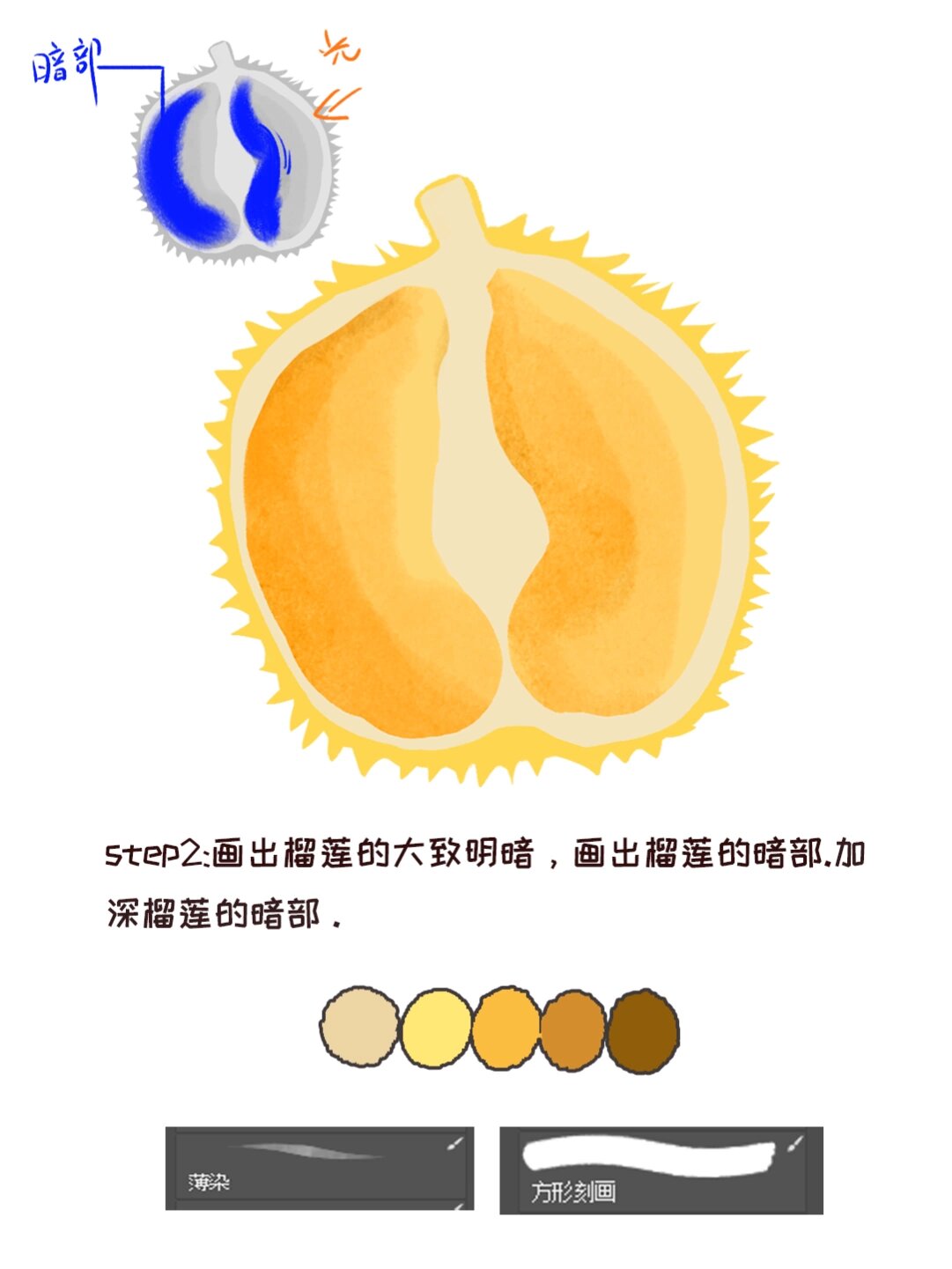 榴莲绘画步骤分享96