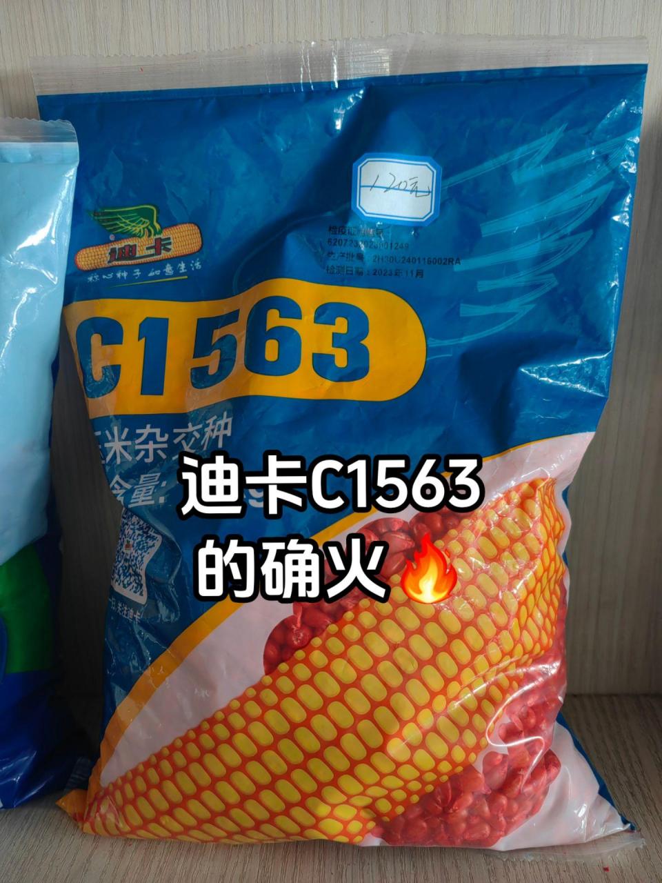 迪卡c1563玉米种子简介图片