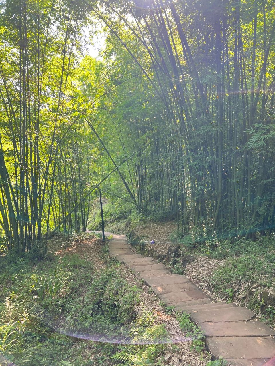 大邑药师岩风景区图片