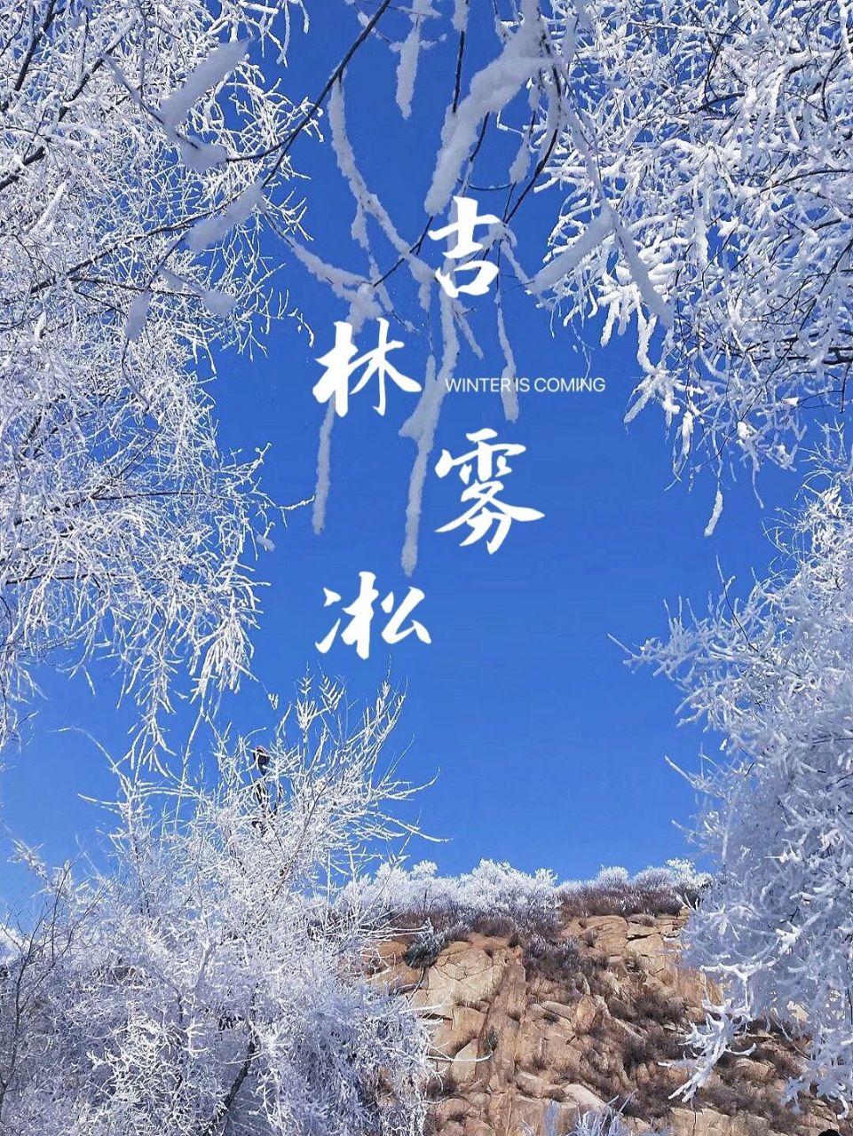 冰雪精灵——雾凇图片