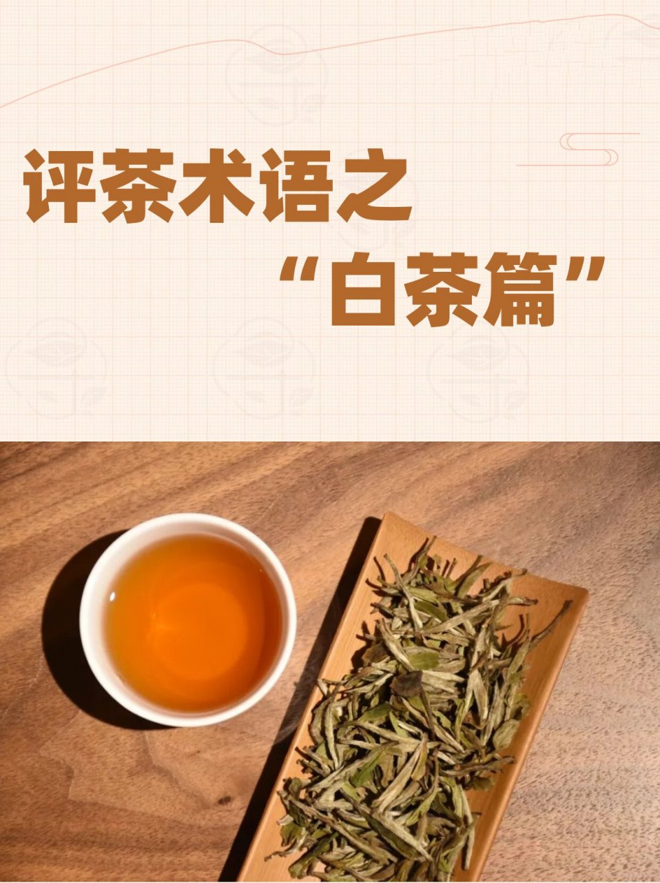 关于茶叶的评价（关于茶叶的评价语） 关于茶叶的评价（关于茶叶的评价语）《茶叶的评价怎么写》 茶叶资讯