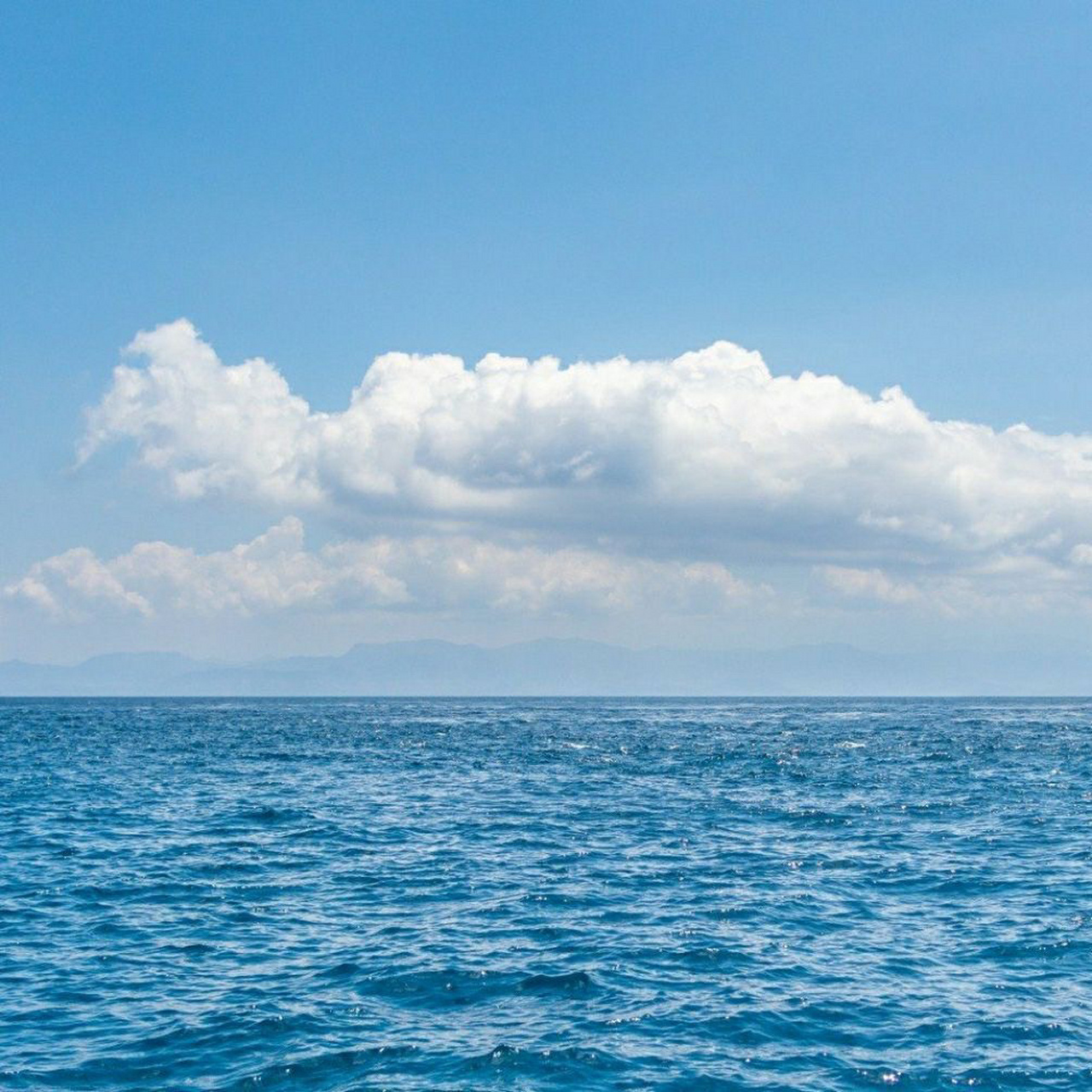 分享大海头像与壁纸! 希望看到的你们牛年都能幸福快乐!