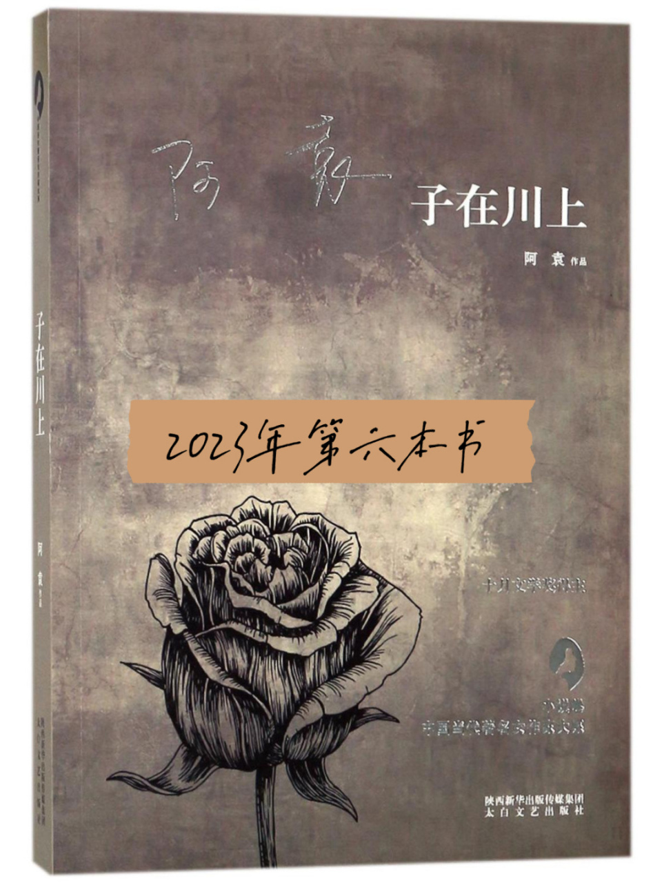 子在川上|隐约有钱钟书的味道 我是喜欢阿袁的小说的,喜欢的反而会不