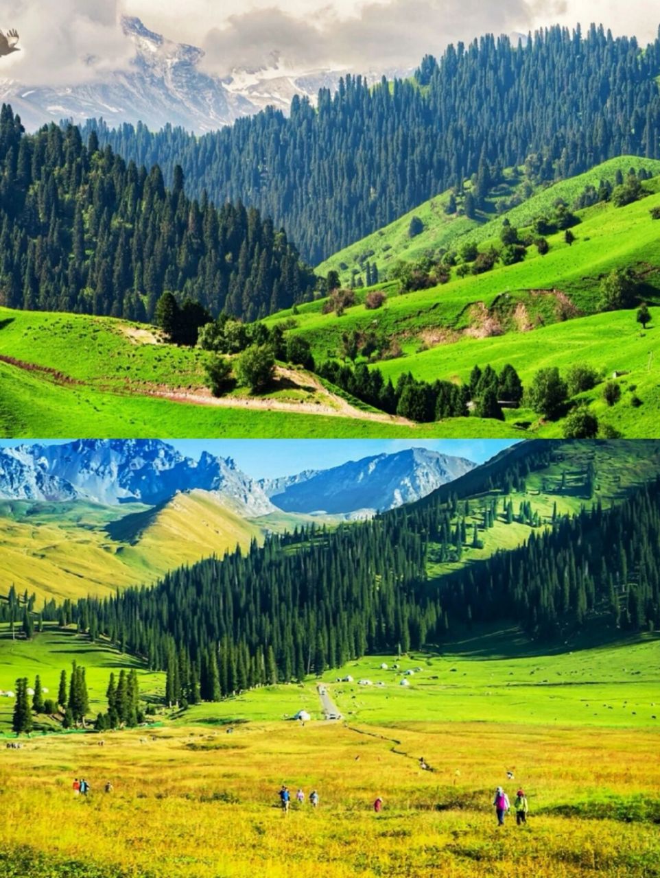 新疆旅游|人均2k 赛里木湖&那拉提草原攻略 99伊犁的春天,是从四月