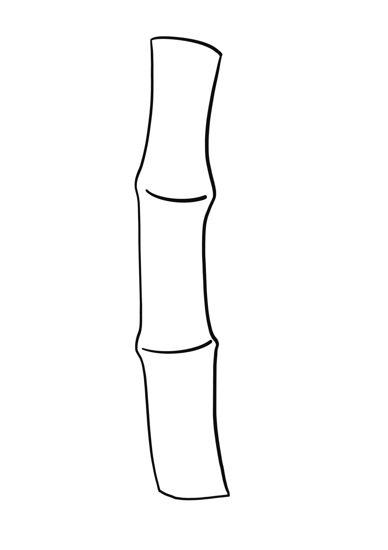 简笔画教程分享 竹子