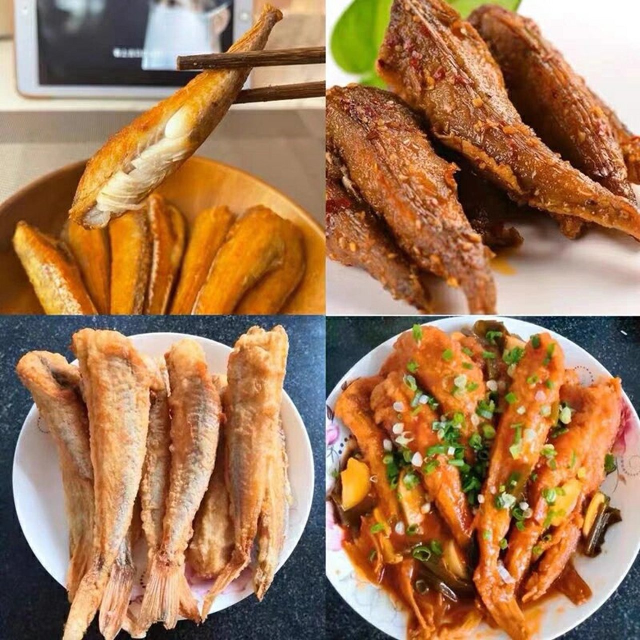 很漂亮的红色海鱼,鱼鳍很大,像是一对翅膀.