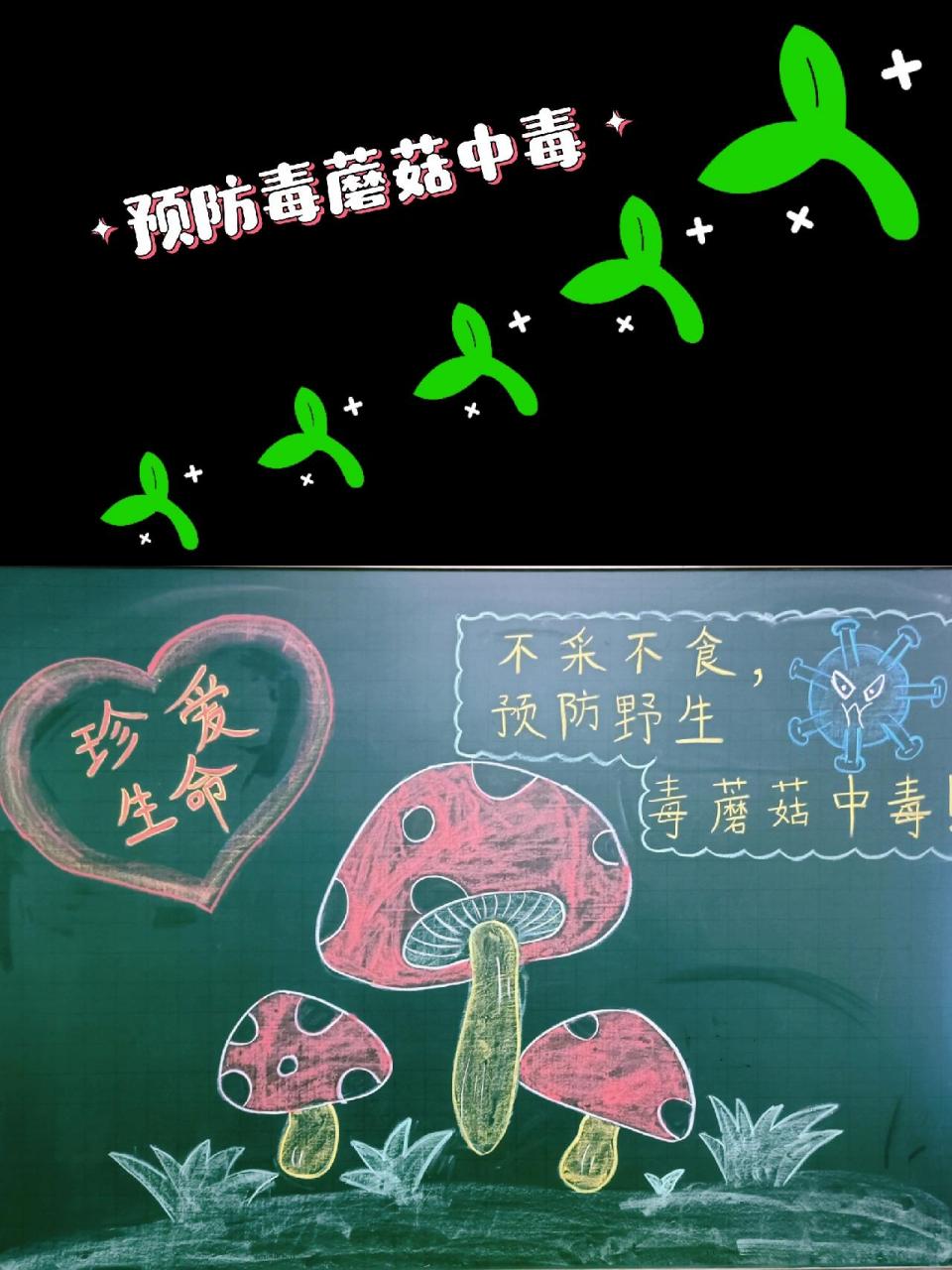 预防毒蘑菇中毒的黑板简笔画 不采不食,预防毒蘑菇中毒!