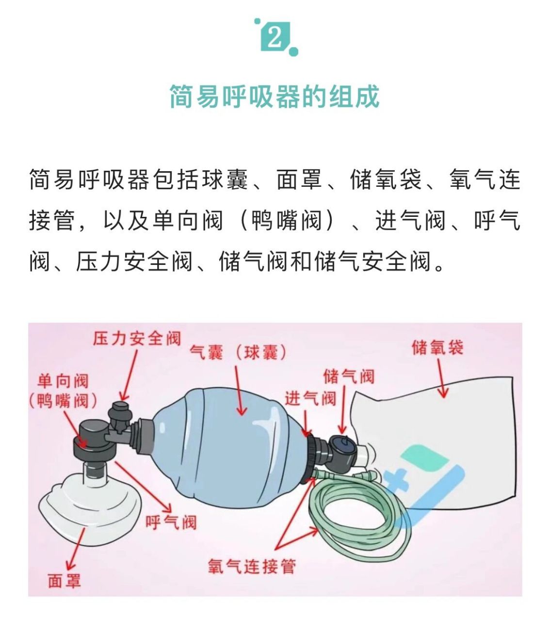 人工简易呼吸器ec手法图片