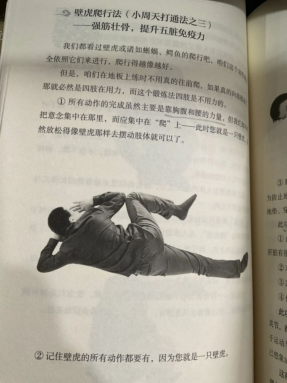 体质差,每天"壁虎爬行法"2分钟,强筋壮骨!