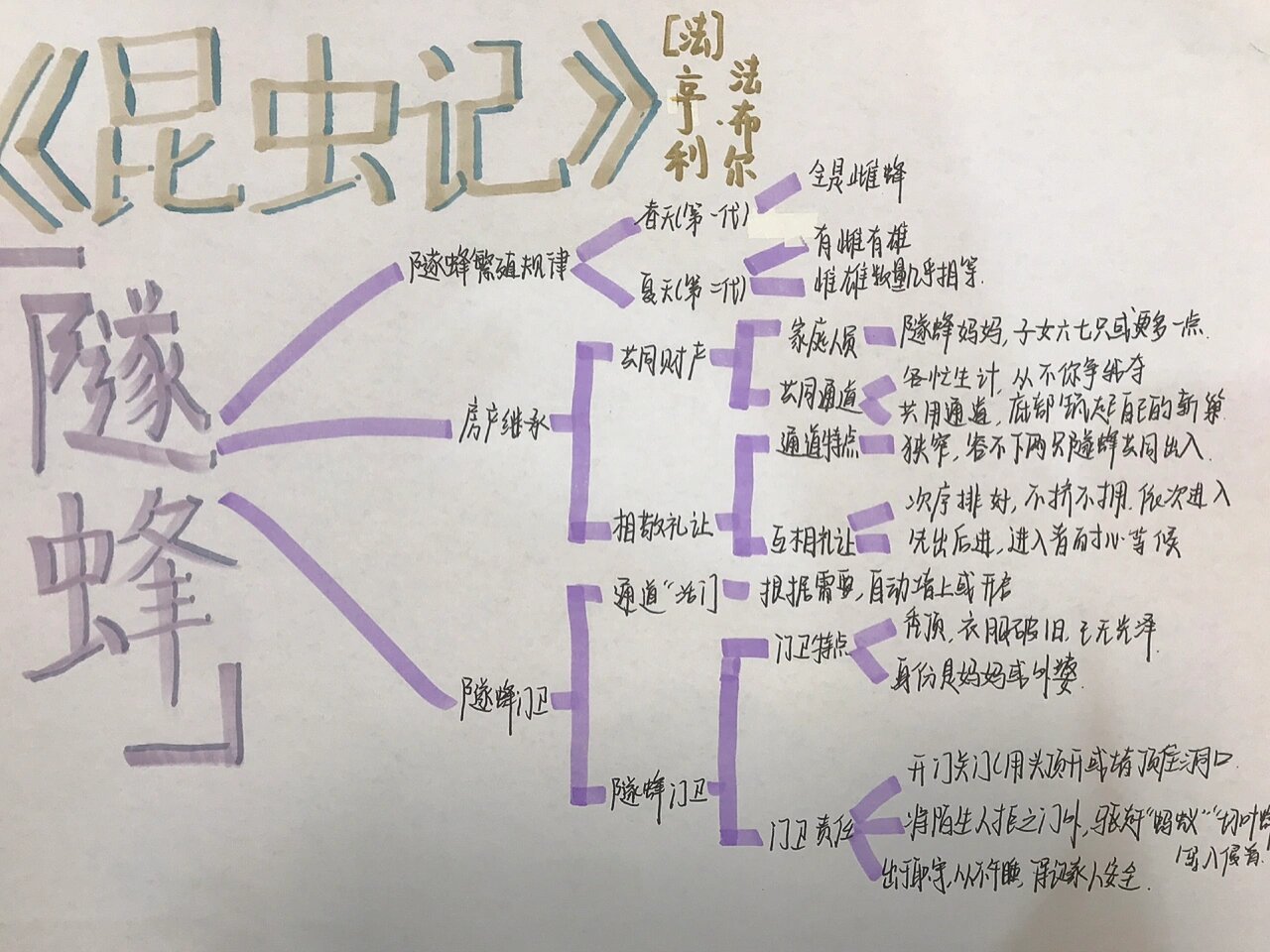 切叶蜂的思维导图图片