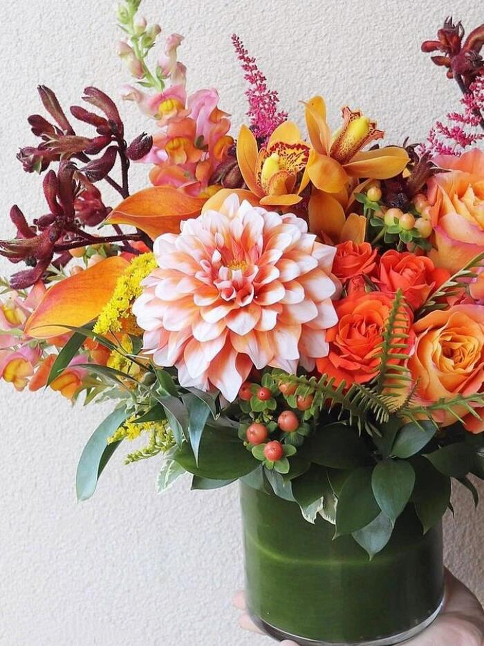 不一样的鲜切花79 | 火龙珠(红豆,相思豆) 科属:金丝桃科,欧金丝桃