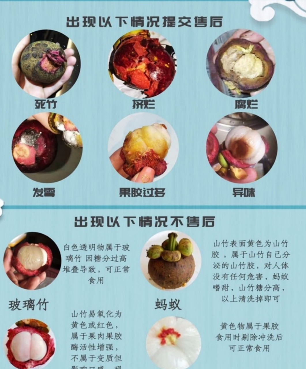 一张图教你如何辨别山竹是否坏掉02 山竹需售后6种情况: 166死竹
