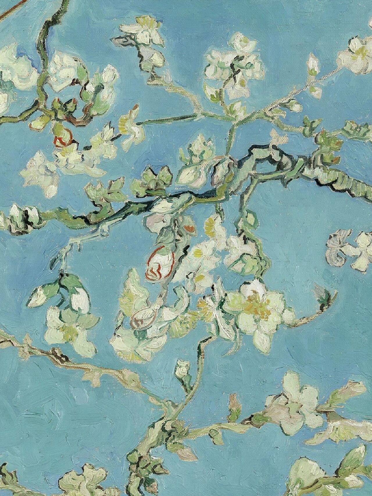 梵高《开花的巴旦杏树枝》作品欣赏