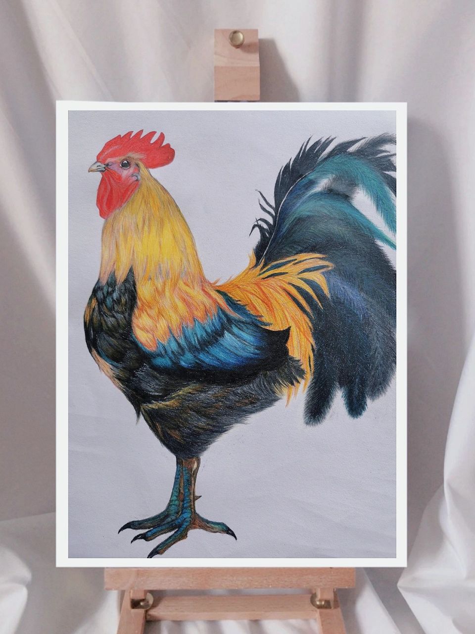 彩铅画|大公鸡(内附详细步骤图) 彩铅笔74brutfuner 纸74雪山素描