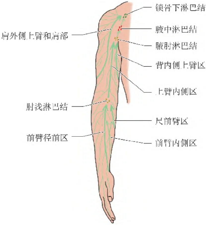 给淋巴水肿姐妹们一点鼓励之四～手法引流